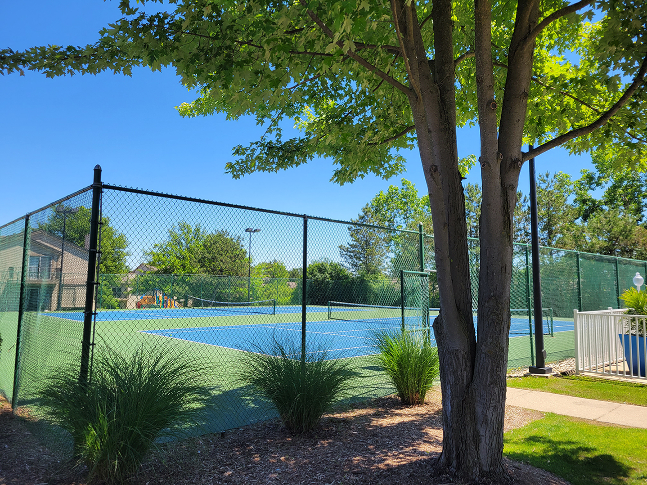 a tennis court with a tree and a fence